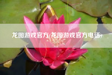 龙图游戏官方(龙图游戏官方电话)