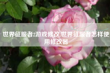 世界征服者2游戏修改,世界征服者怎样使用修改器