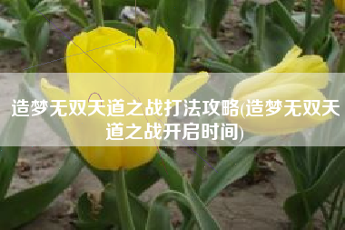 造梦无双天道之战打法攻略(造梦无双天道之战开启时间)