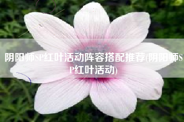 阴阳师SP红叶活动阵容搭配推荐(阴阳师SP红叶活动)