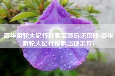 豪华游轮大纪行探索宝藏玩法攻略(豪华游轮大纪行设施出现条件)