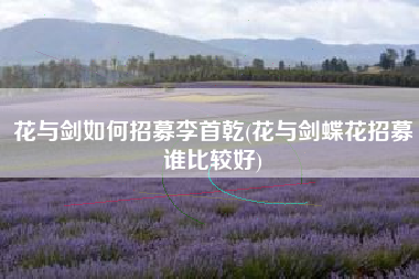 花与剑如何招募李首乾(花与剑蝶花招募谁比较好)