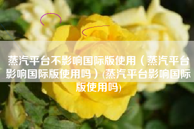 蒸汽平台不影响国际版使用（蒸汽平台影响国际版使用吗）(蒸汽平台影响国际版使用吗)