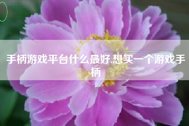 手柄游戏平台什么最好,想买一个游戏手柄