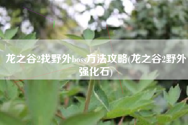 龙之谷2找野外boss方法攻略(龙之谷2野外强化石)