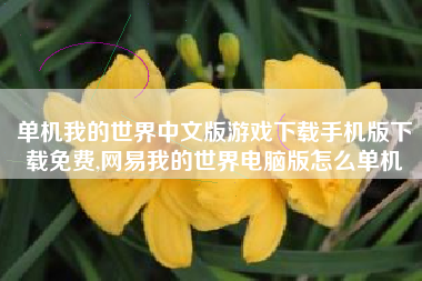 单机我的世界中文版游戏下载手机版下载免费,网易我的世界电脑版怎么单机
