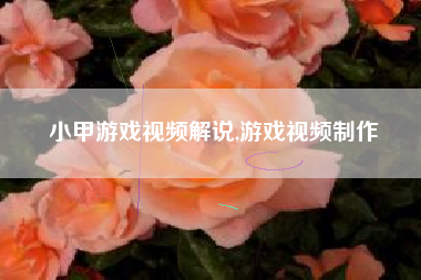 小甲游戏视频解说,游戏视频制作