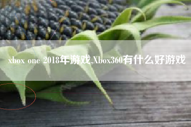 xbox one 2018年游戏,Xbox360有什么好游戏