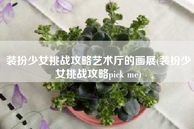 装扮少女挑战攻略艺术厅的画展(装扮少女挑战攻略pick me)