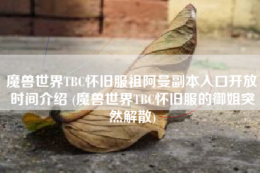 魔兽世界TBC怀旧服祖阿曼副本入口开放时间介绍 (魔兽世界TBC怀旧服的御姐突然解散)