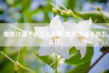 黑色沙漠手游怎么聊天(黑色沙漠手游怎么样)