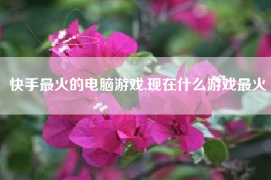 快手最火的电脑游戏,现在什么游戏最火