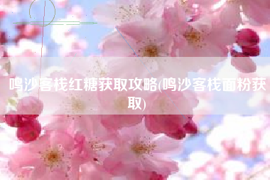 鸣沙客栈红糖获取攻略(鸣沙客栈面粉获取)