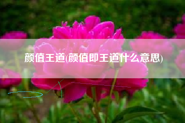 颜值王道(颜值即王道什么意思)