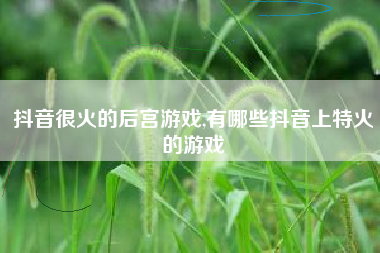抖音很火的后宫游戏,有哪些抖音上特火的游戏