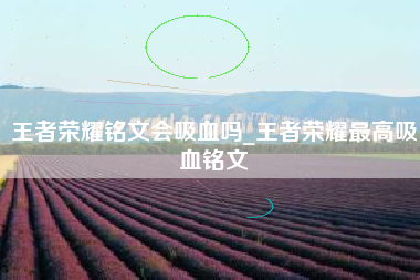 王者荣耀铭文会吸血吗_王者荣耀最高吸血铭文