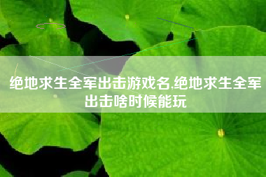 绝地求生全军出击游戏名,绝地求生全军出击啥时候能玩