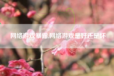 网络游戏暴露,网络游戏是好还是坏