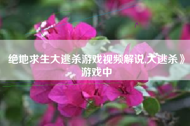 绝地求生大逃杀游戏视频解说,大逃杀》游戏中