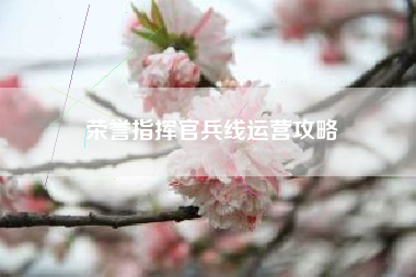 荣誉指挥官兵线运营攻略