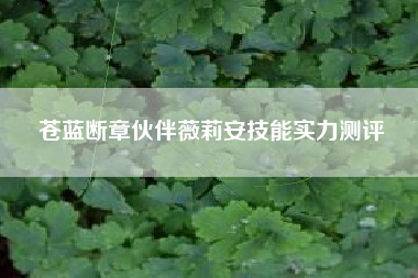 苍蓝断章伙伴薇莉安技能实力测评