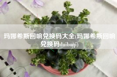 玛娜希斯回响兑换码大全(玛娜希斯回响兑换码duibuqi)