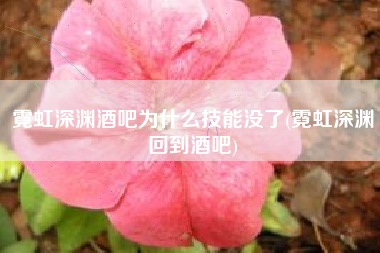 霓虹深渊酒吧为什么技能没了(霓虹深渊回到酒吧)