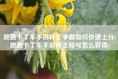 跑跑卡丁车手游杯王争霸如何快速上分(跑跑卡丁车手游杯王称号怎么获得)