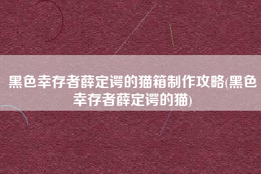 黑色幸存者薛定谔的猫箱制作攻略(黑色幸存者薛定谔的猫)