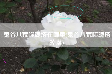 鬼谷八荒噬魂塔在哪里(鬼谷八荒噬魂塔掉落)