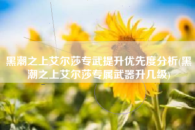 黑潮之上艾尔莎专武提升优先度分析(黑潮之上艾尔莎专属武器升几级)