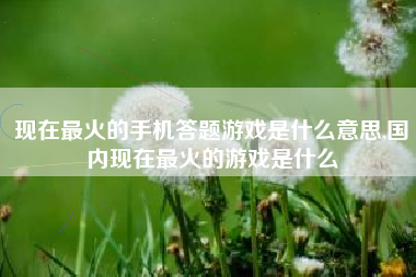 现在最火的手机答题游戏是什么意思,国内现在最火的游戏是什么