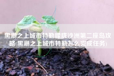 黑潮之上城市特勤朦胧沙洲第二座岛攻略(黑潮之上城市特勤怎么完成任务)