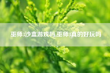 巫师3沙盒游戏吗,巫师3真的好玩吗