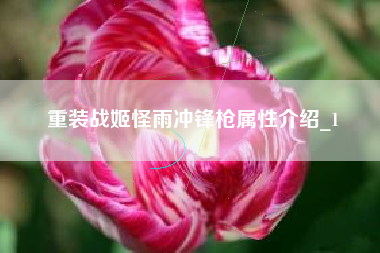 重装战姬怪雨冲锋枪属性介绍_1