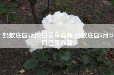 蚂蚁庄园5月23日答案最新(蚂蚁庄园5月23日答案最新)