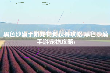 黑色沙漠手游宠物狗获得攻略(黑色沙漠手游宠物攻略)