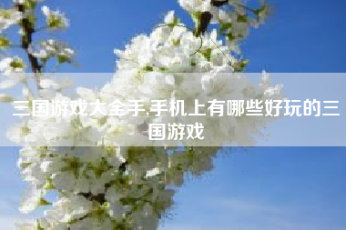 三国游戏大全手,手机上有哪些好玩的三国游戏