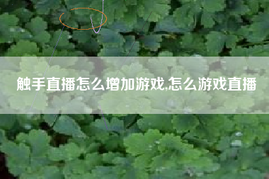 触手直播怎么增加游戏,怎么游戏直播