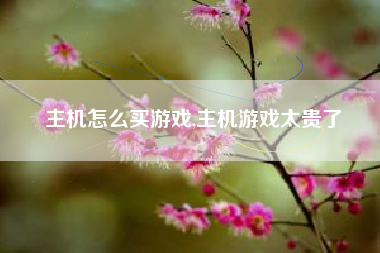 主机怎么买游戏,主机游戏太贵了