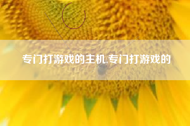 专门打游戏的主机,专门打游戏的