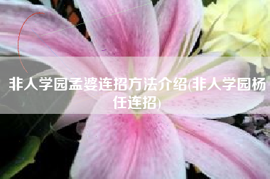 非人学园孟婆连招方法介绍(非人学园杨任连招)