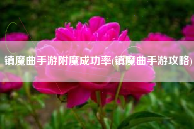 镇魔曲手游附魔成功率(镇魔曲手游攻略)