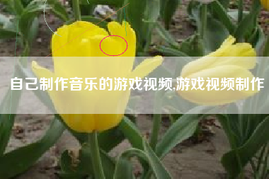 自己制作音乐的游戏视频,游戏视频制作