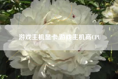 游戏主机显卡,游戏主机高CPU