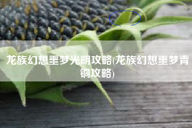 龙族幻想噩梦光明攻略(龙族幻想噩梦青铜攻略)