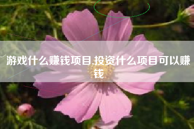 游戏什么赚钱项目,投资什么项目可以赚钱