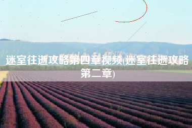 迷室往逝攻略第四章视频(迷室往逝攻略第二章)