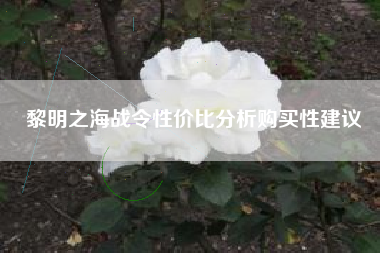 黎明之海战令性价比分析购买性建议
