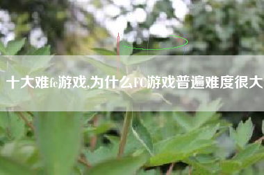 十大难fc游戏,为什么FC游戏普遍难度很大